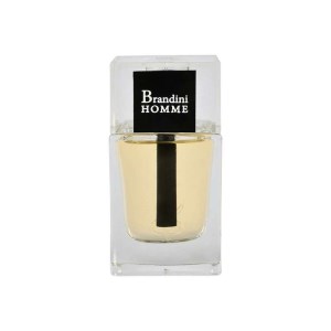 ادکلن هوم اینتنسHOMME INTENSE برندینی33ml