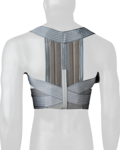 غوزبند الاستیک صادراتی پل دار ادور(مدیوم)